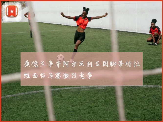 桑德兰争夺阿尔及利亚国脚蒂特拉维面临马赛激烈竞争