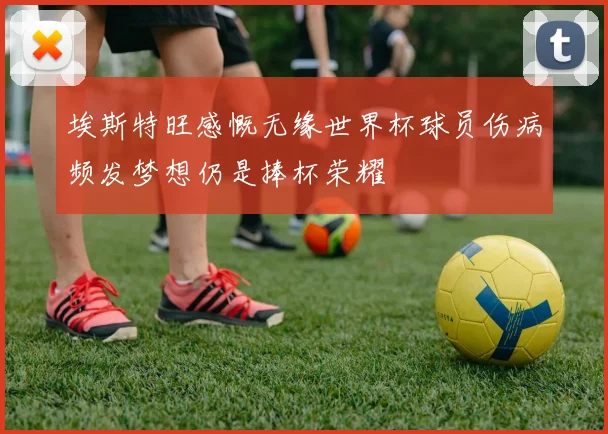 埃斯特旺感慨无缘世界杯球员伤病频发梦想仍是捧杯荣耀